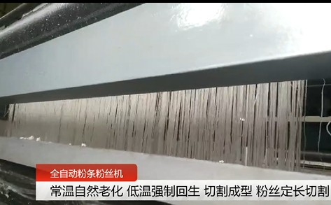 全自動紅薯粉條機(jī) 全自動紅薯粉條機(jī)