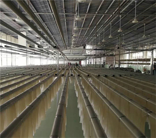 想入手全自動(dòng)紅薯粉條機(jī)設(shè)備卻預(yù)算有限？可以試試種工藝的粉條機(jī)